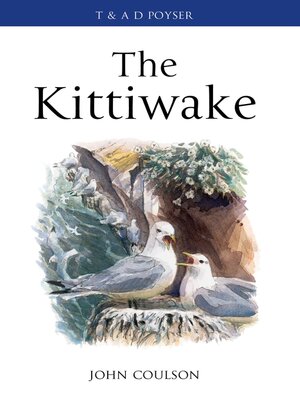 cover image of The Kittiwake